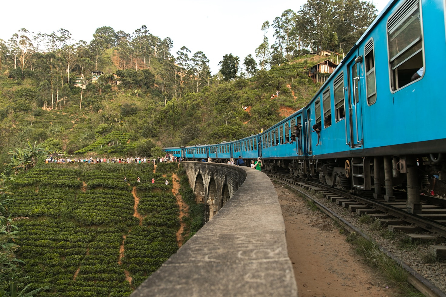 Choosing The Best Certified Guides For Tours
